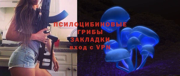 a pvp Дмитриев