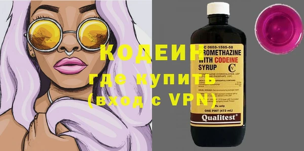 хмурый Елизово