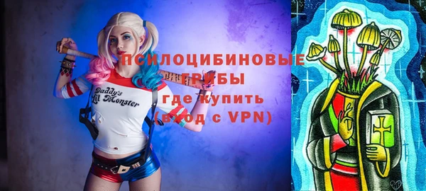 a pvp Дмитров