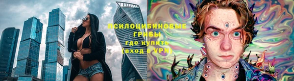 хмурый Елизово